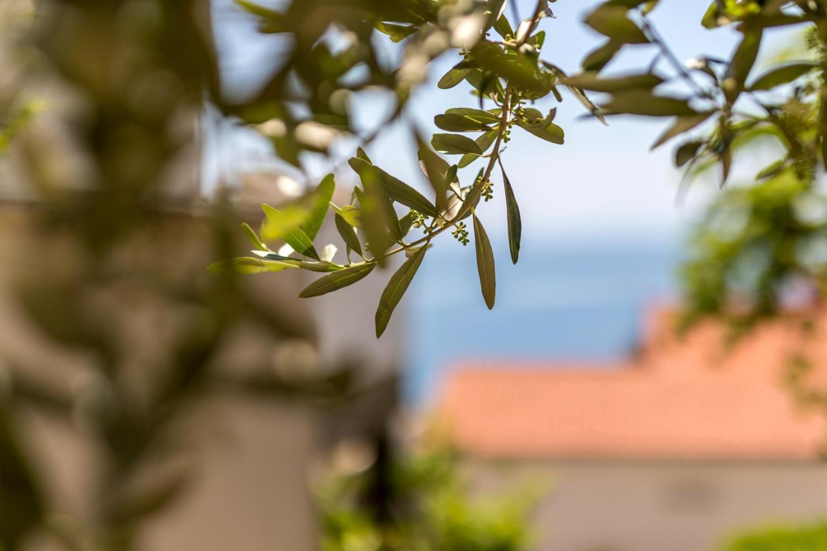 Apartments With A Parking Space Baska Voda, Makarska - 301 Exterior foto